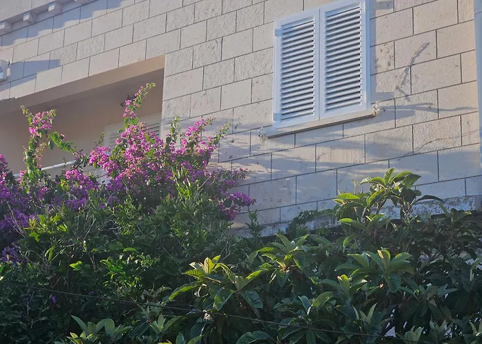 Premier Appartement *